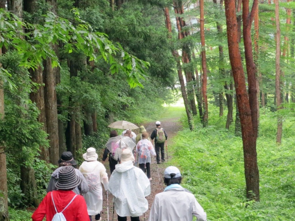 葉っぱの屋根の下わいわいウォーキング♪